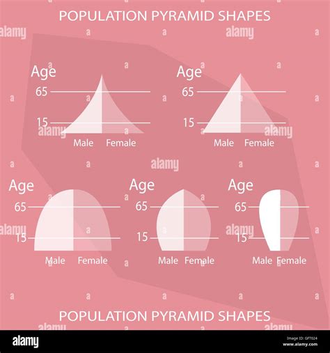 Population and Demography, Illustration Set of 5 Types of Population Pyramids Chart or Age ...