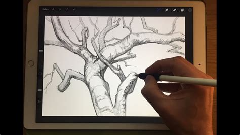 HOW TO DRAW TREE BRANCHES, Apple Pencil drawing tutorial on iPad Pro 12 ...