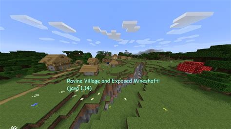 1.14 MINESHAFT AND RAVINE VILLAGE SEED! ( Minecraft Java ) - YouTube