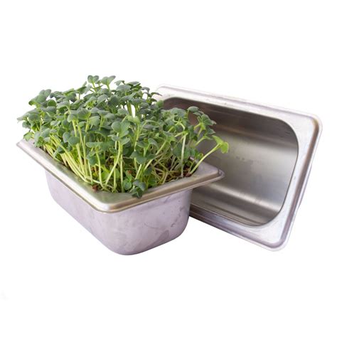 Trellis + Co. Stainless Steel Hydroponic Microgreens Growing Kit ...