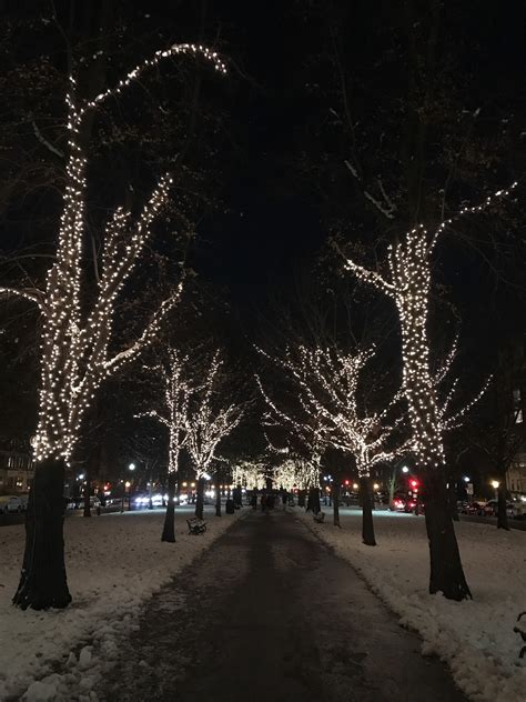 Where to See Holiday Lights in Boston - The A-Lyst: A Boston-based Lifestyle Blog by Alyssa Stevens