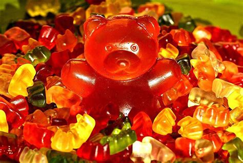 A Beginner's Guide to Choosing Gummy Bear Machine - Confectionery Production Line Solution and ...