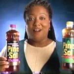 Diane Pine Sol Lady Meme Generator - Imgflip