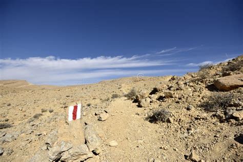 Hiking Trail in Negev Desert. Stock Image - Image of landscape, yellow ...