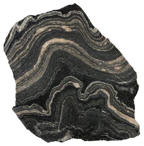 Gneiss - Metamorphic rocks This folded migmatitic gneiss from the Alps formed deep in the crust ...