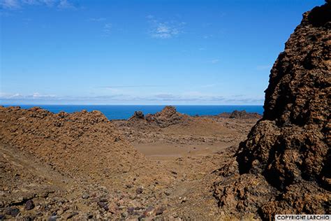 Luxury Family Cruise Galapagos 2025 - GalapagosInformation.com Blog