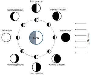 Phases of the Moon Facts for Kids