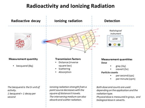 Radioactive decay - Wikipedia