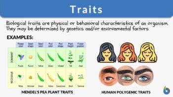 Top 39 + How do traits get expressed in plants and animals - Lifewithvernonhoward.com