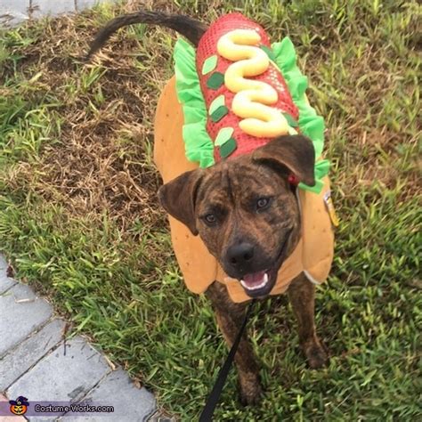 The Hot Dog Costume | Coolest Cosplay Costumes