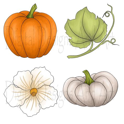 Autumn pumpkin clipart By DigitalDesignsAndArt | TheHungryJPEG