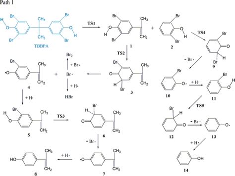 Possible pyrolysis process in path 1 caused initially by a synergistic ...