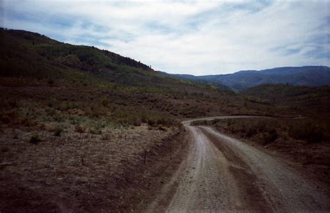 The Mystery Of Utah History: Old Ephraim: Utah’s most legendary bear