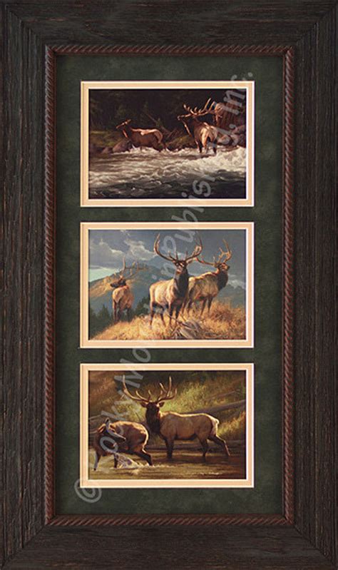 Wildlife Art | Greg Beecham Elk Wildlife Framed Set