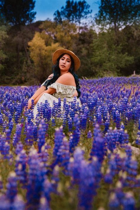 I Found The Most Magical California Lupine Wildflowers For A Picnic