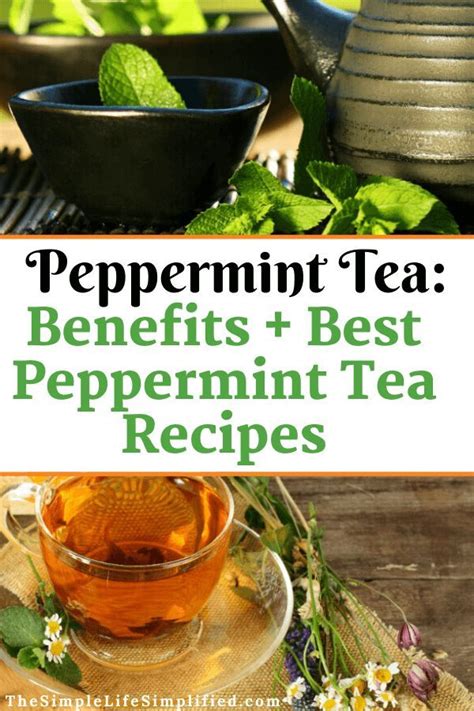 Top Benefits of Peppermint Tea + 5 Best Recipes in 2020 (With images) | Peppermint tea benefits ...