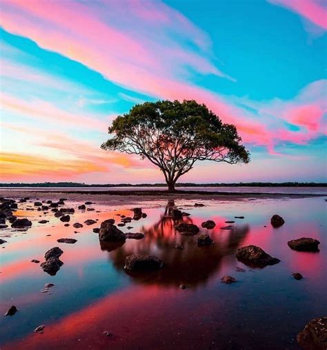 Sunset in Brisbane, Australia... | World photography, Nature photography, Nightscape