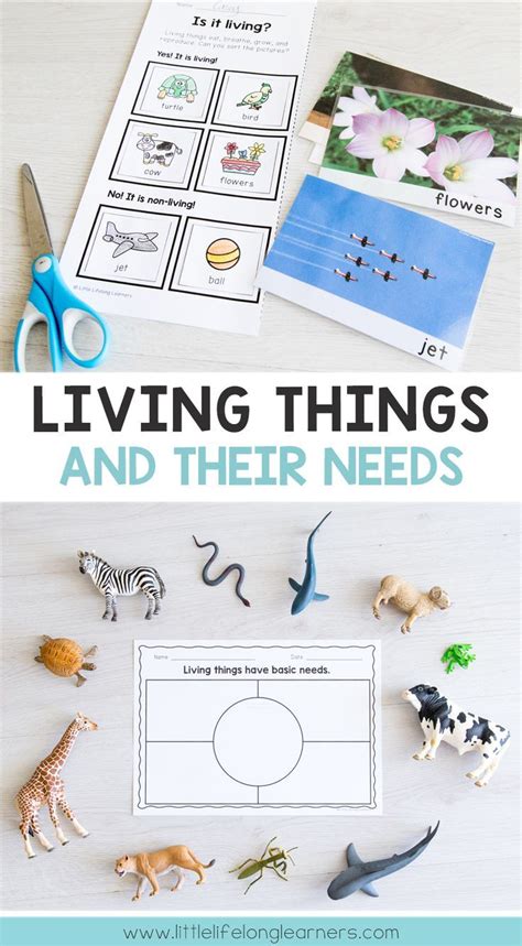 Australian Curriculum - Living Things – Animals, Plants and Their Needs ...