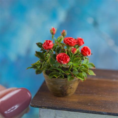 🌹My new miniature roses in a ceramic pot. Roses are made of cold ...