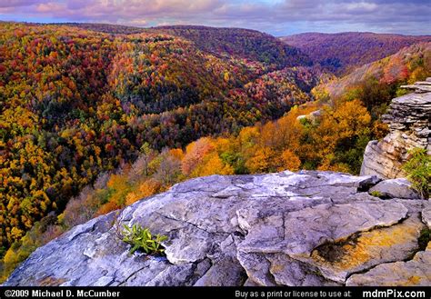 Fall Foliage Scarring West Virginia Mountains Picture (Blackwater Falls State Park, WV ...