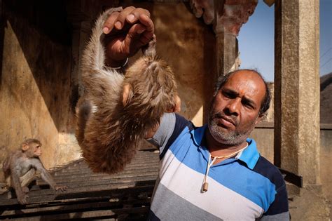 Galta Ji: Jaipur's Monkey Temple | Man Vs Globe