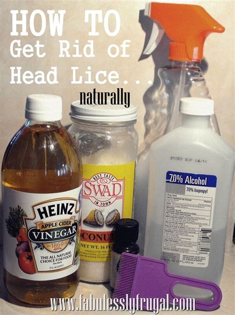 How to get rid of head lice fast – Artofit