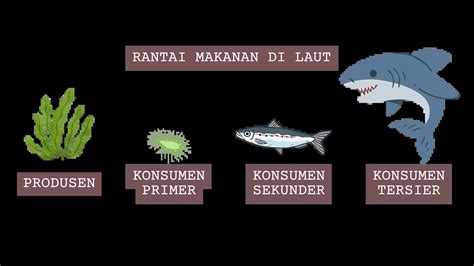 10 Contoh Rantai Makanan - Mudabisa