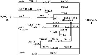 Theoretical study of the oxidation reactions of sulfurous acid/sulfite with ozone to produce ...