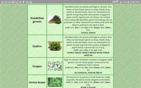 Green Iguana Care Guide N2 Food Chart | Reptiles Amino