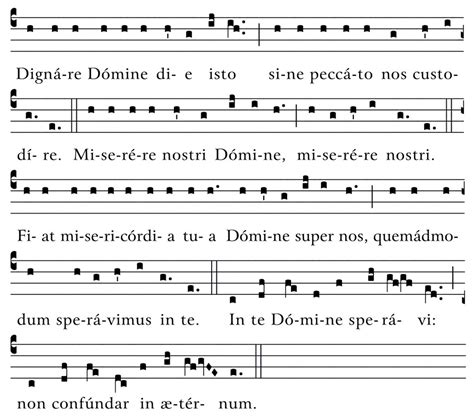 Te Deum laudamus (Simple Tone) | Gregorian Chant Hymns