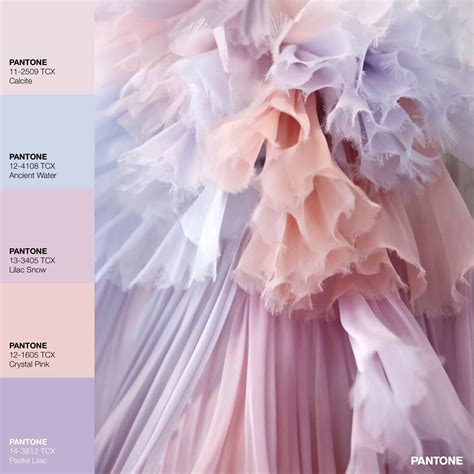 Pantone Tcx Pastel Lilac Color Palettes And Color Scheme | The Best ...