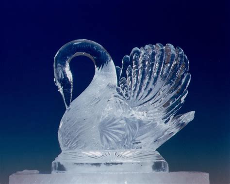 Ice Swan | Ice art, Snow art, Ice sculptures