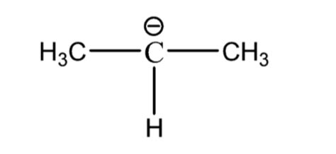 Which of the following compounds has an isopropyl group class 11 ...