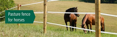 Pasture fence for horses - AKO-Agrartechnik