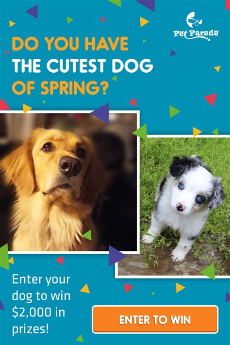 Enter Your Dog to Win $2000 in Pet Prizes | Pet photo contest, Dog photo contest, Dogs