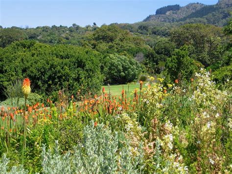 Kirstenbosch Gardens Directions | Fasci Garden