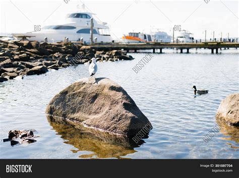 Kirkland, Washington, Image & Photo (Free Trial) | Bigstock