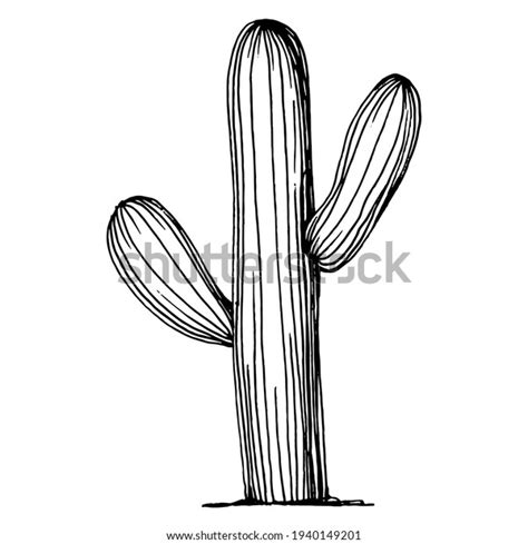 Free Black And White Cactus Clipart Outline