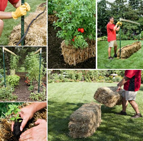 Straw Bale Gardening | Gardening techniques, Hay bale gardening, Straw bale gardening