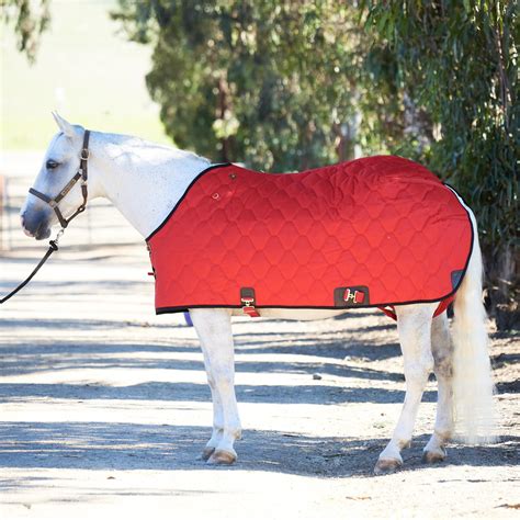 Best Winter Horse Blankets