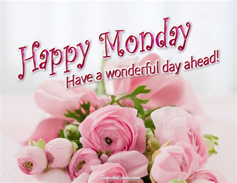 Happy Monday Images | Beautiful Monday Pictures | SuperbWishes