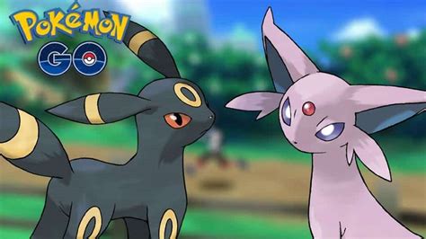 Eevee And Umbreon