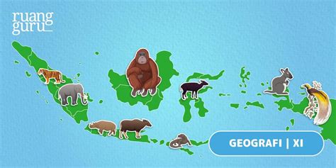 Faktor dan Zona Persebaran Flora & Fauna di Indonesia | Geografi Kelas ...