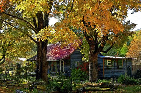 Fall colors in Tennessee Photograph by Richard Norman - Fine Art America