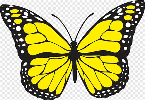 Butterfly Yellow, Yellow Butterfly s, stawonogi, czarny i biały png | PNGEgg