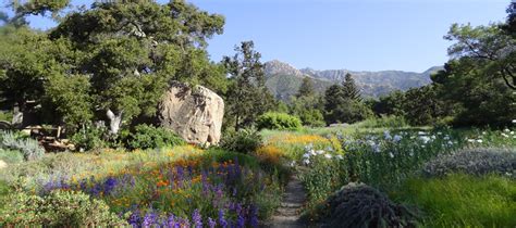 California's Best Botanical Gardens - Our Favorites List. — Californist