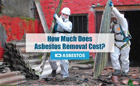 How Much Does Asbestos Removal Cost?