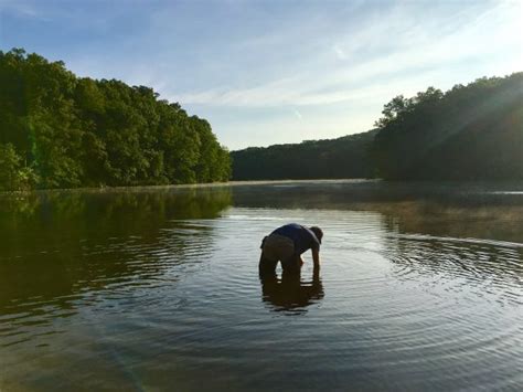 Improving Pond Water Quality Through Phosphorus Reduction