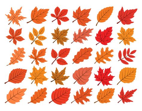 Fall Leaves SVG PNG Autumn Leaves Svg Leaf Cut Files for - Etsy