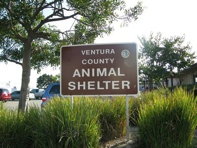 Ventura County Animal Shelter - Camarillo - LocalWiki